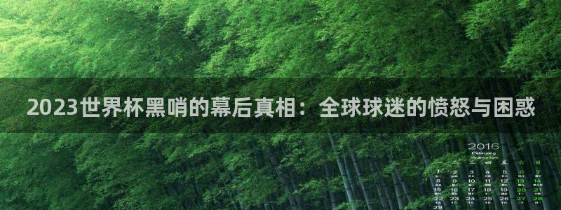 2006年世界杯冠军:2023世界杯黑哨的幕后真相:全球球迷的愤怒与困惑