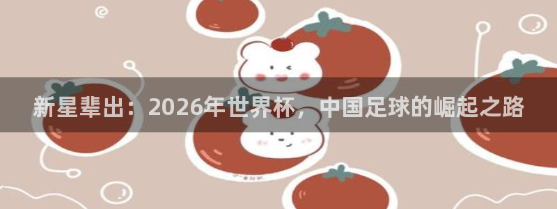 世界杯预选赛直播:新星辈出:2026年世界杯,中国足球的崛起之路