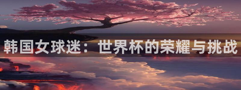 世界杯预赛赛程：韩国女球迷：世界杯的荣耀与挑战