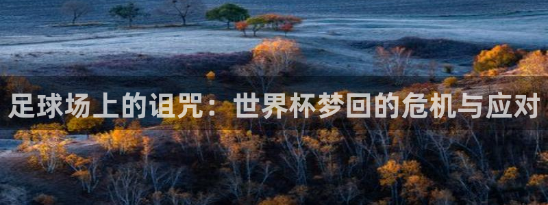 世界杯2026赛程时间表格：足球场上的诅咒：世界杯梦回的危机与应对