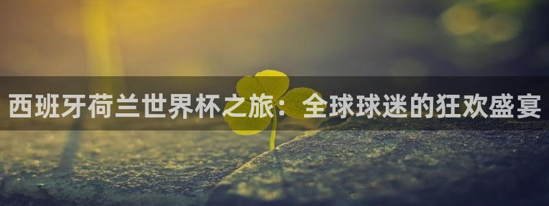 2026世预赛赛程：西班牙荷兰世界杯之旅：全球球迷的狂欢盛宴