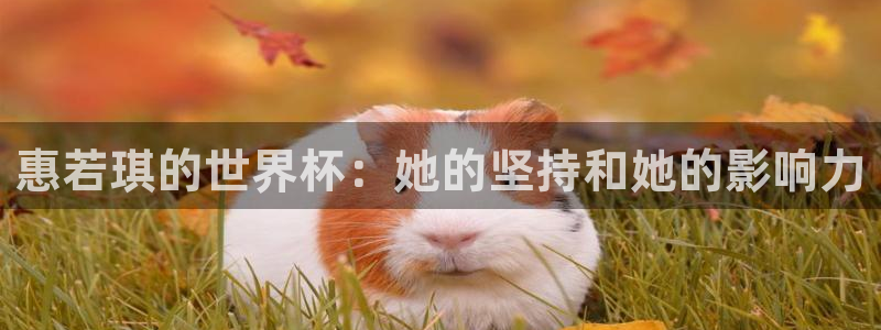 2026年世界杯对阵图：惠若琪的世界杯：她的坚持和她的影响力