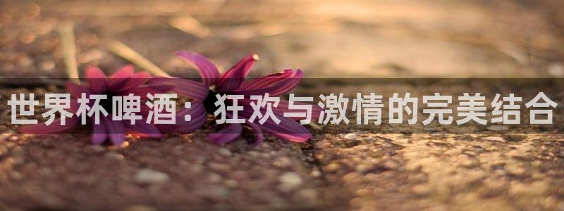 2026年世界杯：世界杯啤酒：狂欢与激情的完美结合