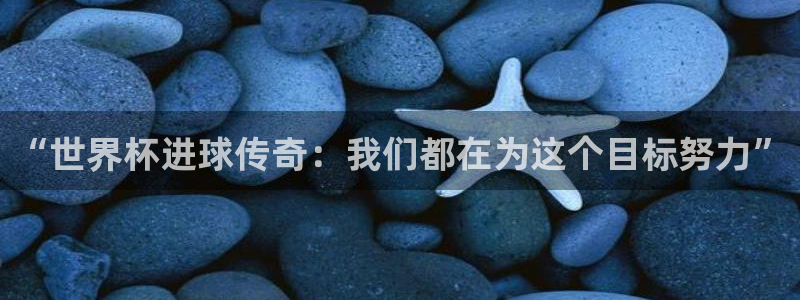 世界杯亚洲区预选赛积分榜：“世界杯进球传奇：我们都在为这个目标努力”