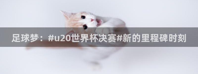 世界杯欧洲预选赛赛程：足球梦：#u20世界杯决赛#新的里程碑时刻